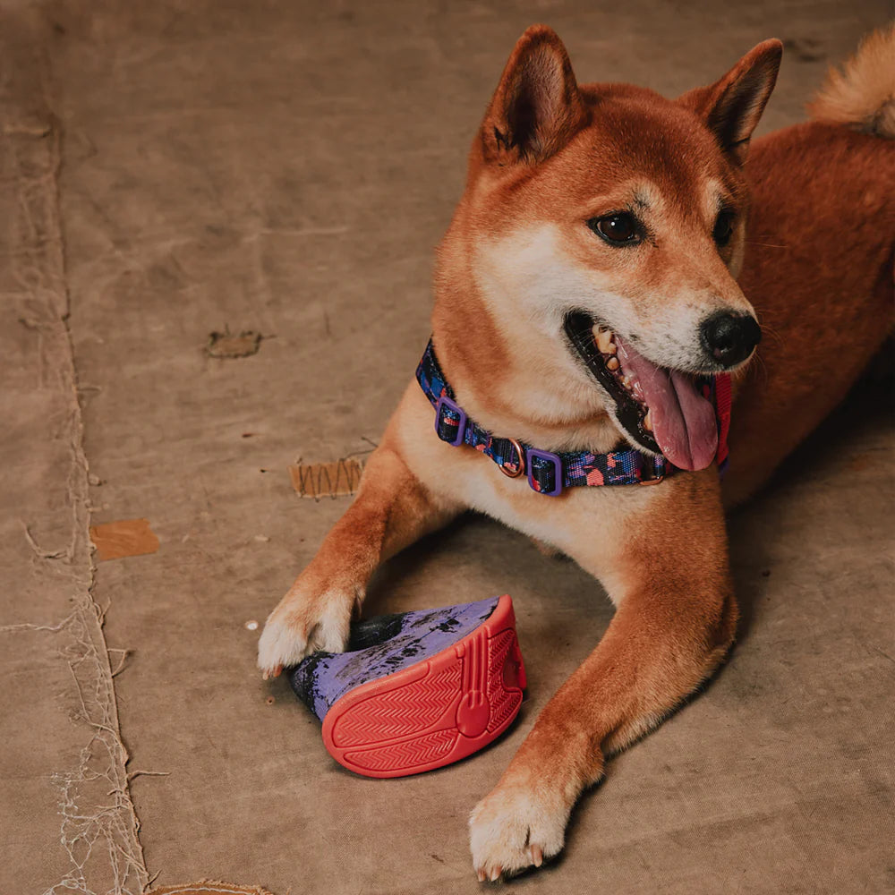 Juguete para morder Court Rocking para perro de ZEEDOG