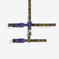 Set de Arnés y correa para gatos Zmiley de ZEEDOG, morado, completamente ajustable, poliéster