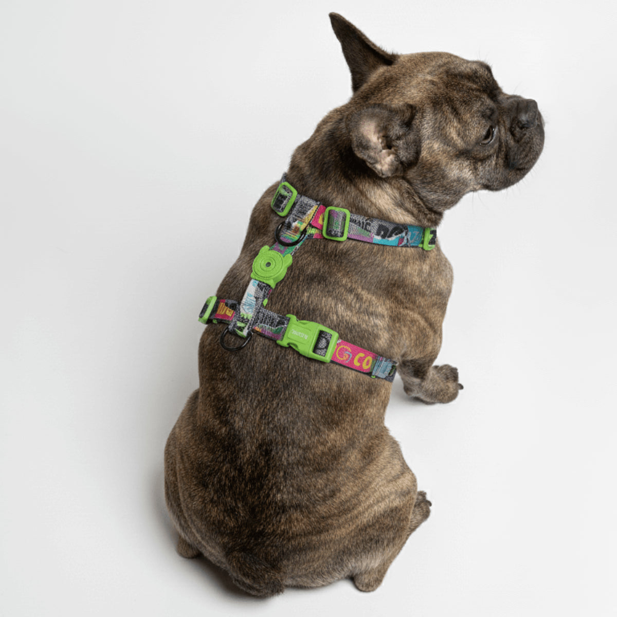 H-Harness Manifesto - Arnés en H para perros de ZEEDOG, blanco, ajustable, poliéster