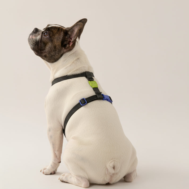 H-Harness NOX - Arnés en H reflectivo para perros
