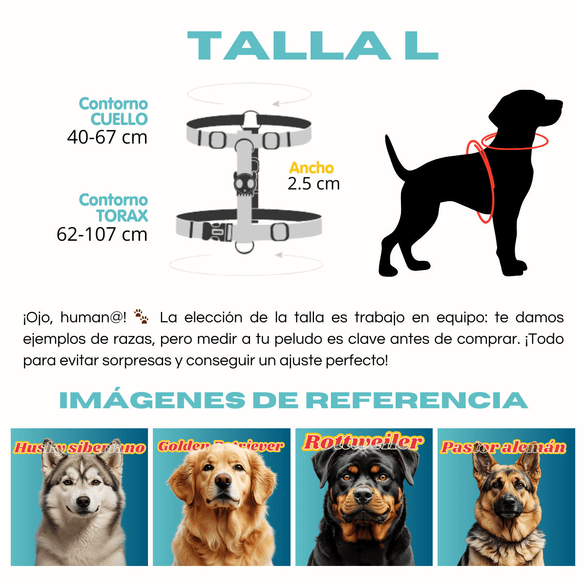 H-Harness NEOPRO® Lyra - Arnés en H para perros de ZEEDOG, poliéster