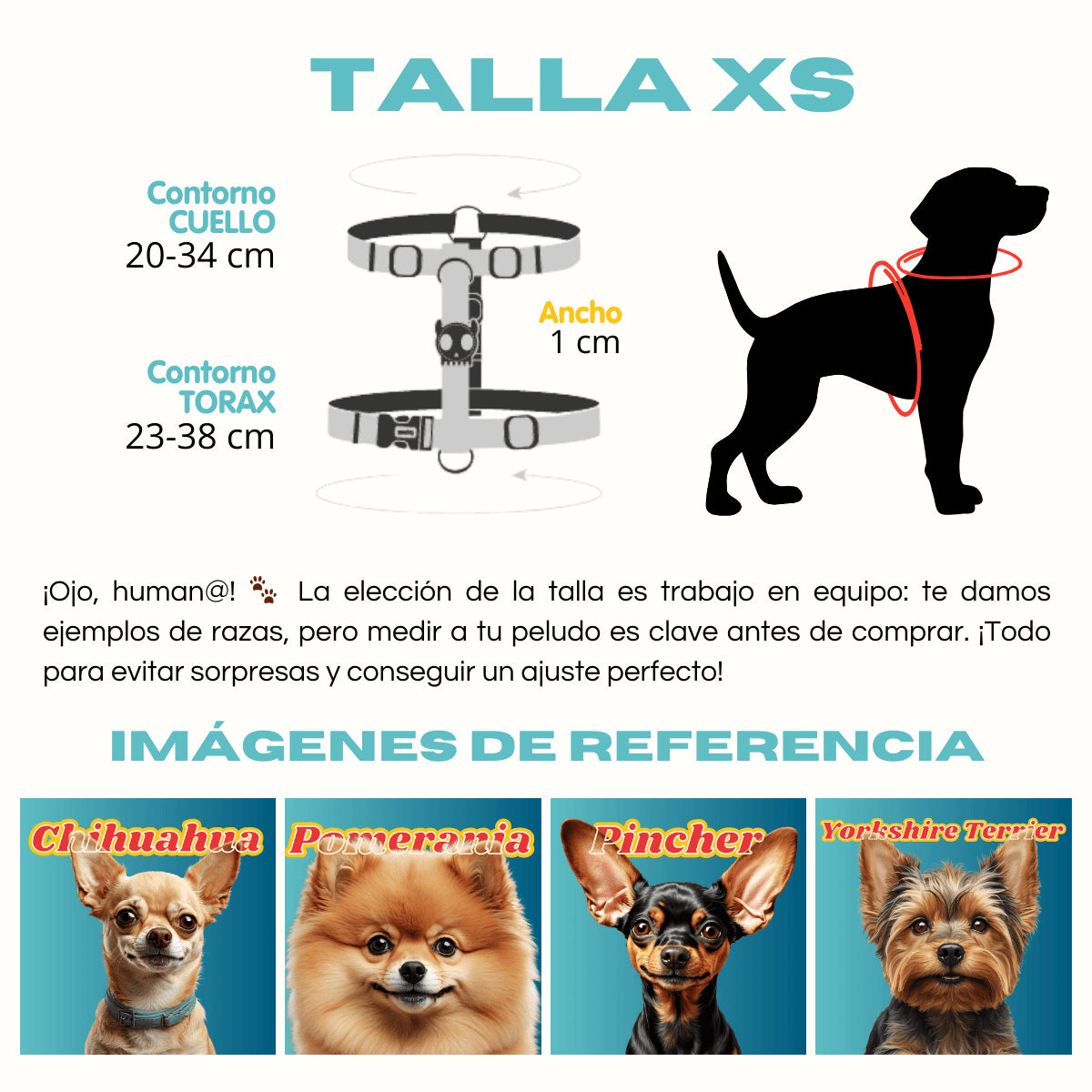H-Harness NOX SIDUS - Arnés en H reflectivo para perros de ZEEDOG, naranja, azul, rosa, poliéster