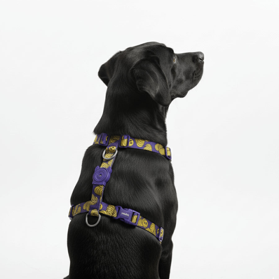 H-Harness Zmiley - Arnés en H para perros de ZEEDOG, morado, ajustable, poliéster