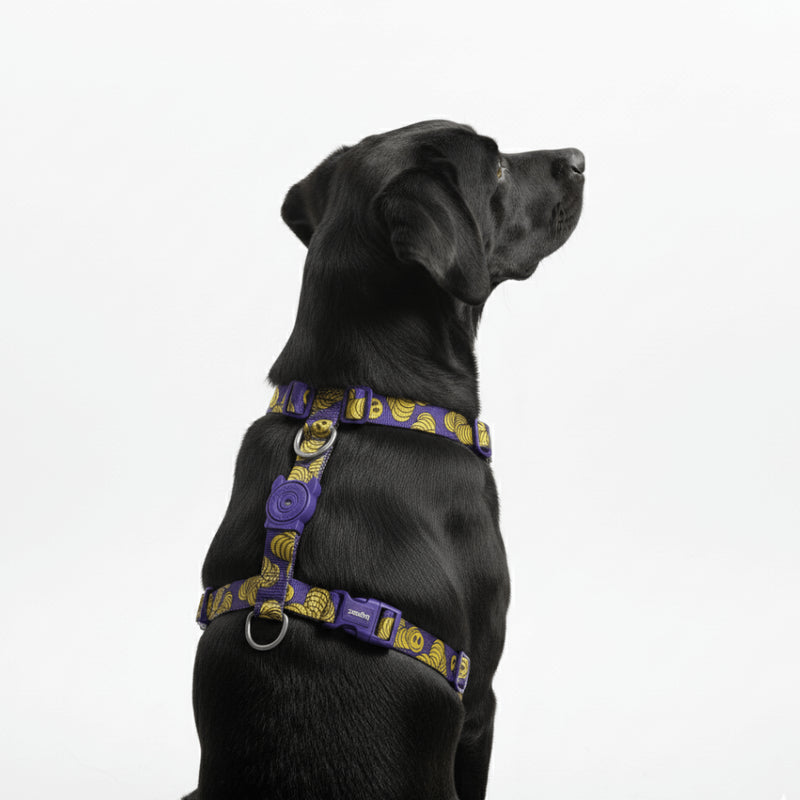 H-Harness Zmiley - Arnés en H para perros