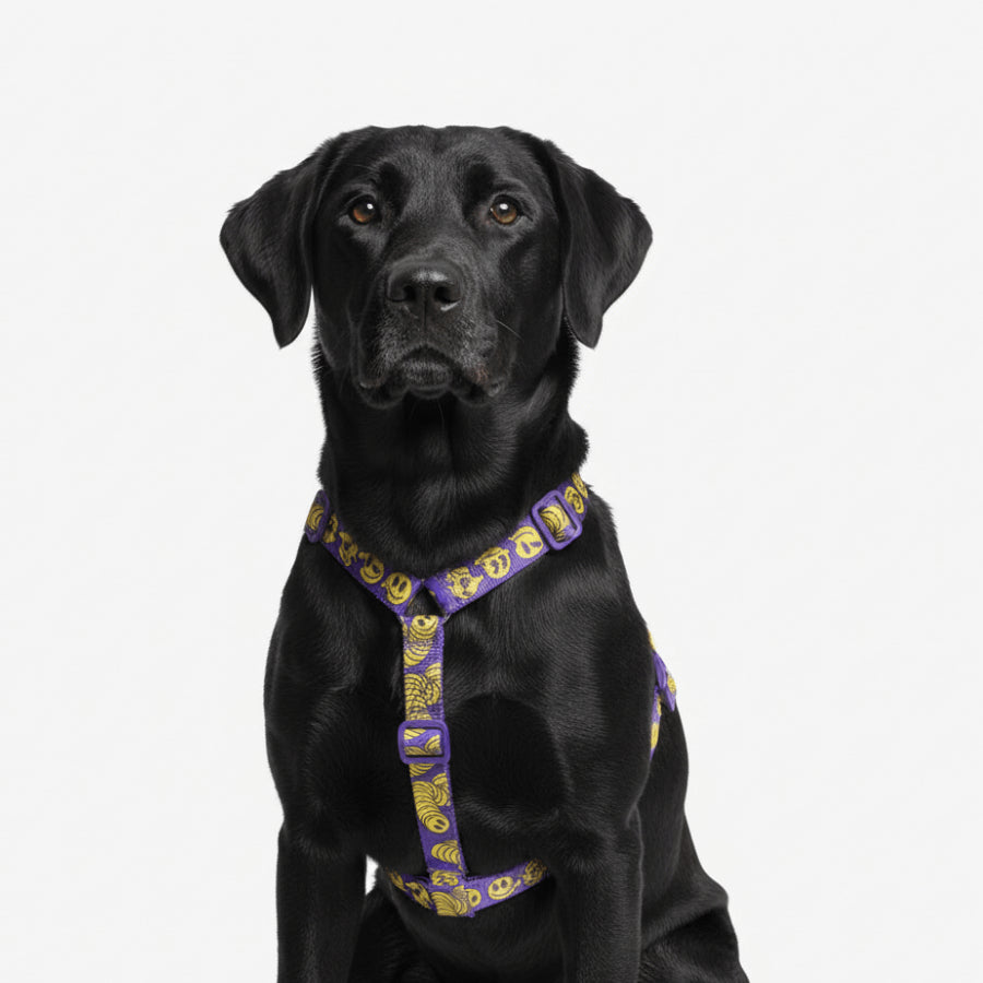 H-Harness Zmiley - Arnés en H para perros de ZEEDOG, morado, ajustable, poliéster