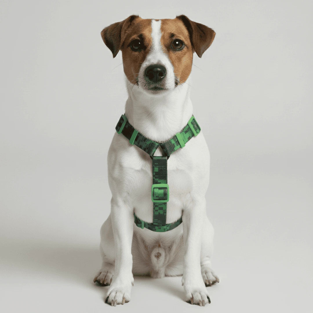 Arnés en H para perros Error #410 de ZEEDOG, verde, negro, ajustable, suave