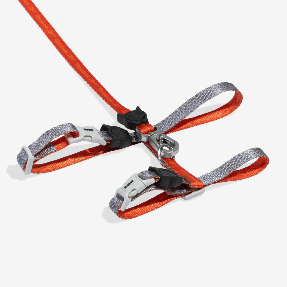 Set de Arnés y correa para gatos Suede Reebok x Zee.Dog de ZEEDOG, cierre de seguridad, suave