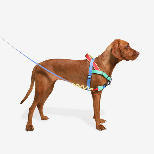 Arnés anti-tirones para perro Mellow de ZEEDOG, azul, verde, rojo, acolchado, completamente ajustable