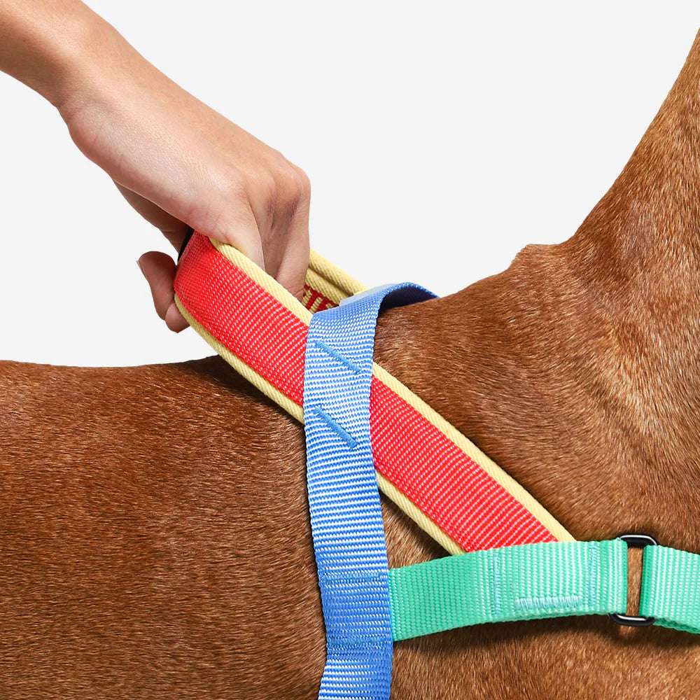 Arnés anti-tirones para perro Mellow de ZEEDOG, azul, verde, rojo, acolchado, completamente ajustable