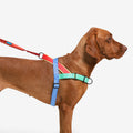 Arnés anti-tirones para perro Mellow