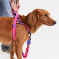 Arnés anti-tirones para perro Error #500 / Softer Walk Harness de ZEEDOG, acolchado, ajustable