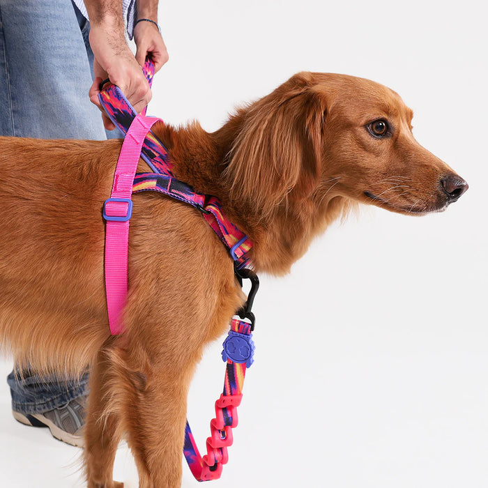 Arnés anti-tirones para perro Error #500 / Softer Walk Harness de ZEEDOG, acolchado, ajustable