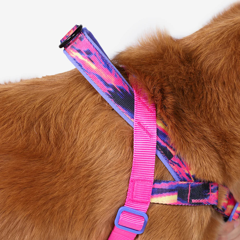 Arnés anti-tirones para perro Error #500 / Softer Walk Harness de ZEEDOG, acolchado, ajustable