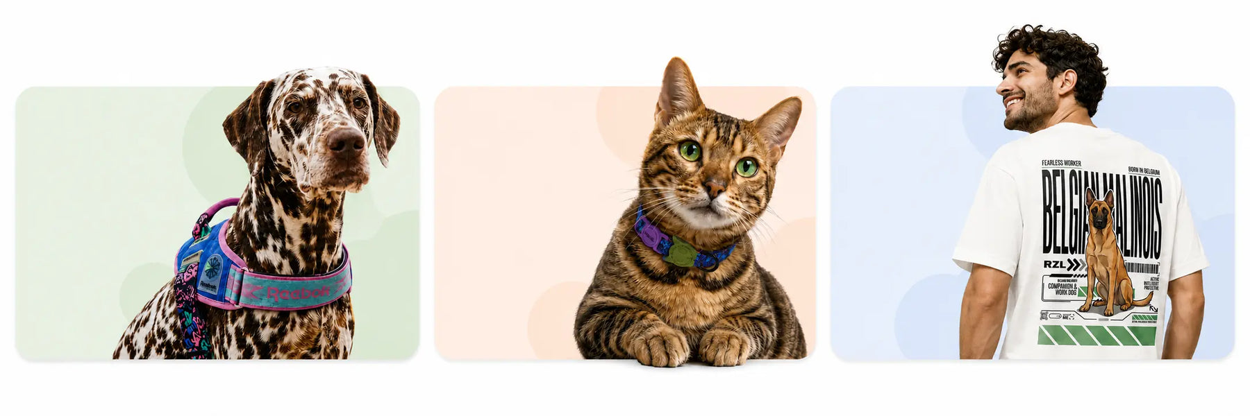 Accesorios para perros, gatos y petlovers en RazasLovers