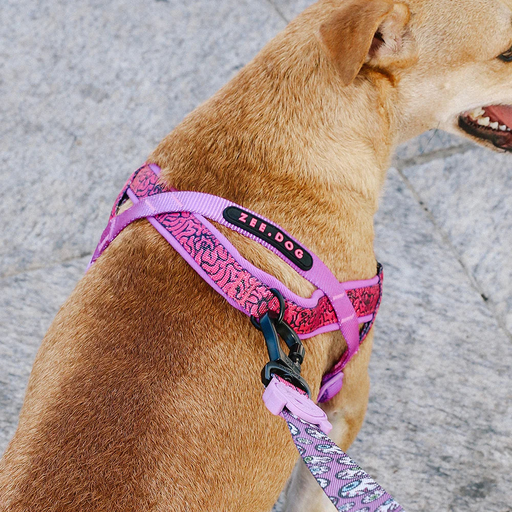 Arnés anti-tirones para perro BRAIN / Softer Walk Harness de ZEEDOG, rosa, morado, suave, vista principal