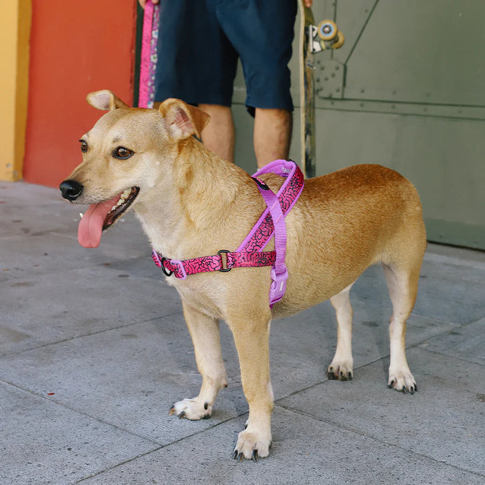 Arnés anti-tirones para perro BRAIN / Softer Walk Harness de ZEEDOG, rosa, morado, suave, vista principal