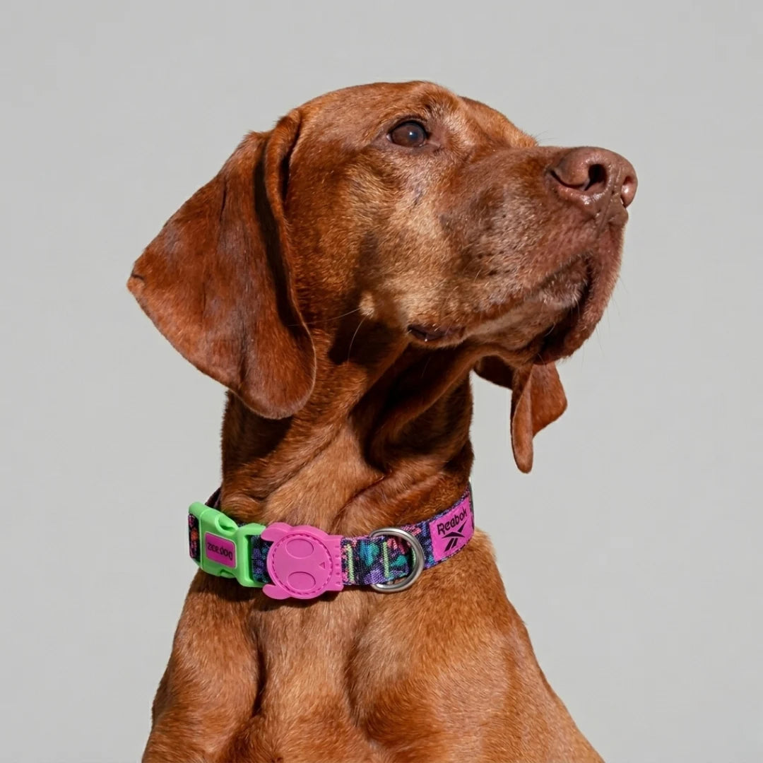 Collar para perros Aerobic Reebok x Zee.Dog de ZEEDOG, completamente ajustable, poliéster