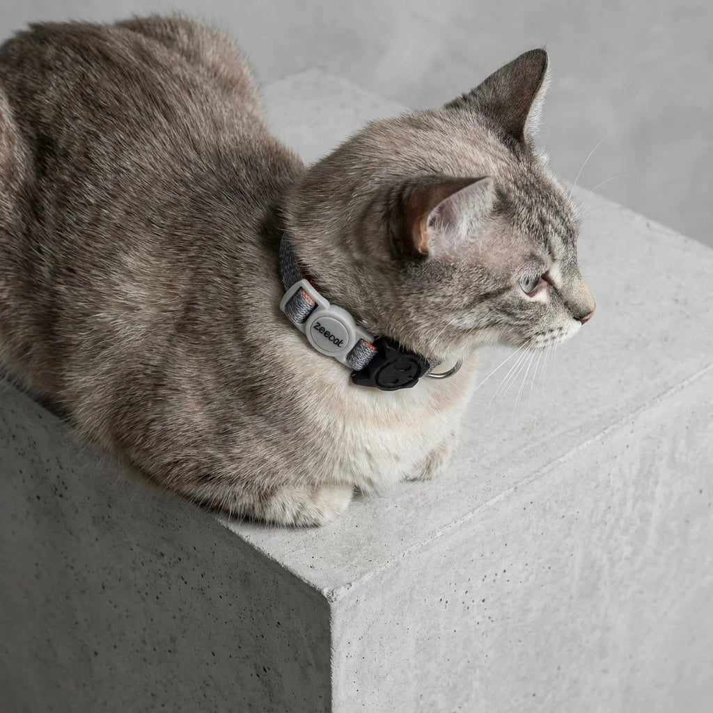 Collar para gato Suede Reebok x Zee.Dog de ZEEDOG, ajustable, poliéster