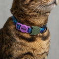 Collar para gato Trekk Reebok x Zee.Dog de ZEEDOG, ajustable, poliéster
