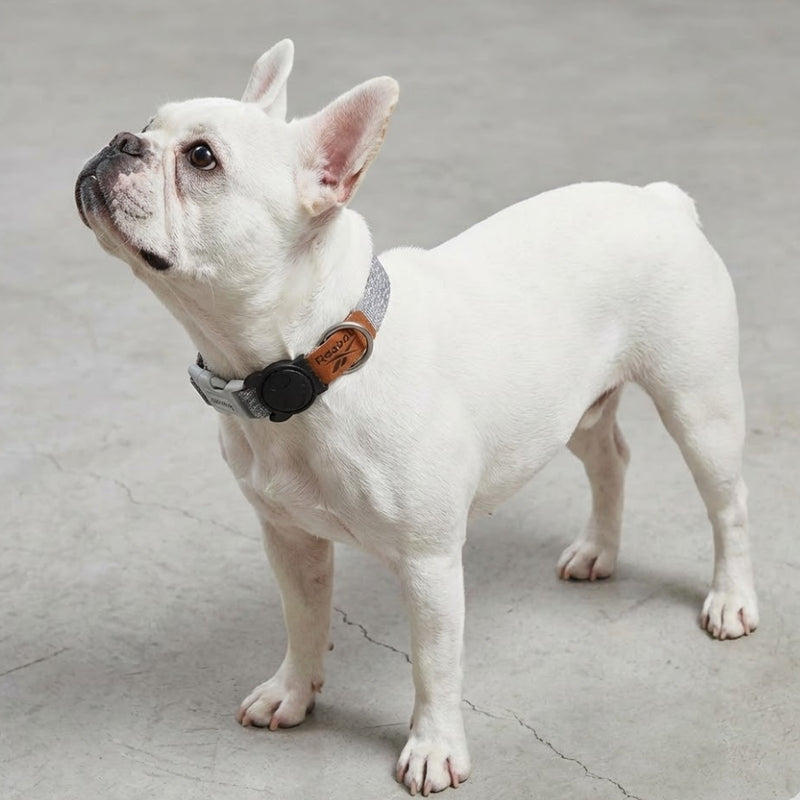 Collar para perros Suede Reebok x Zee.Dog