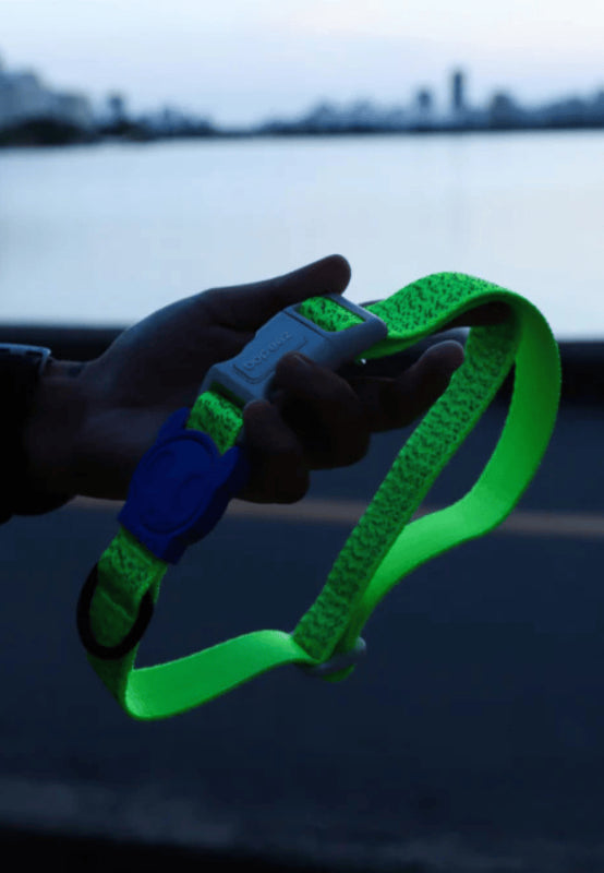 Collares reflectivos NOX Zee.Dog