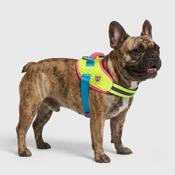 Arnés para perros Flyharness CMYK de ZEEDOG, arcoíris, amarillo, azul, reflectante, acolchado