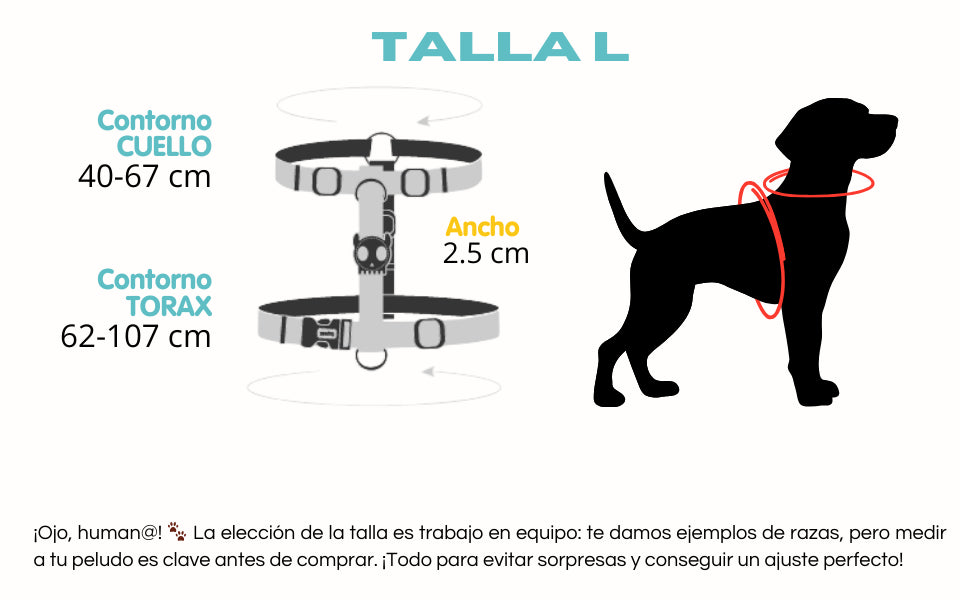 Guía de medidas del arnés en H talla L