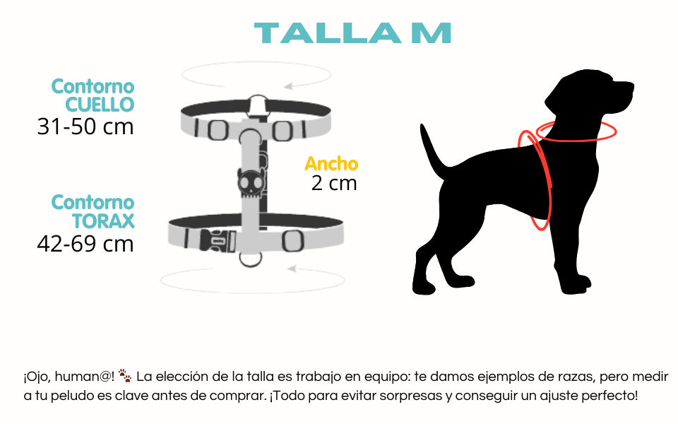 Guía de medidas del arnés en H talla M