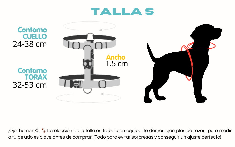 Guía de medidas del arnés en H talla S