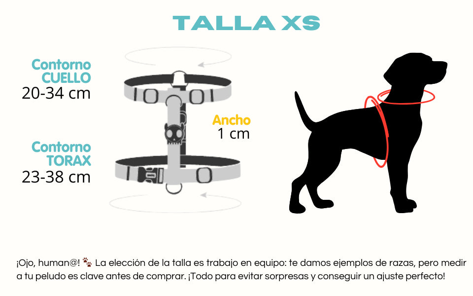 Guía de medidas del arnés en H talla XS