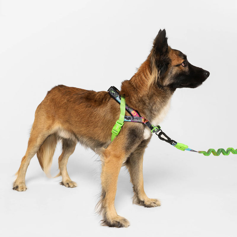 Arnés anti-tirones para perro MANIFESTO / Softer Walk Harness