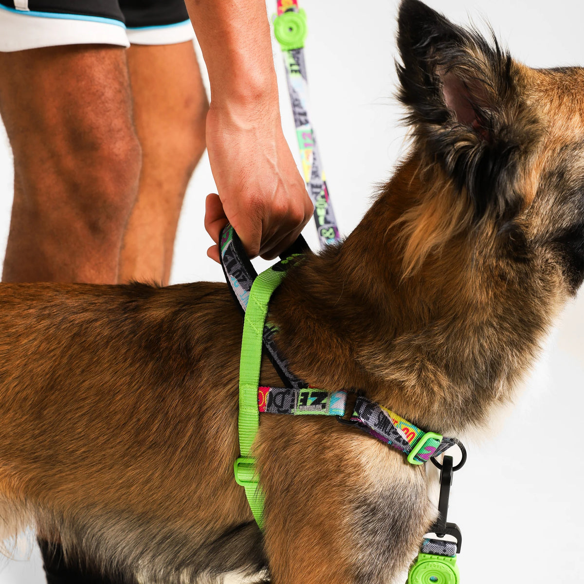 Arnés anti-tirones para perro MANIFESTO / Softer Walk Harness de ZEEDOG, completamente ajustable, vista principal