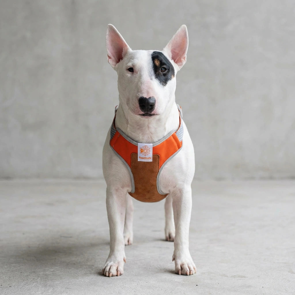 Pechera para perros Suede Reebok x Zee.Dog de ZEEDOG, ajustable, suave