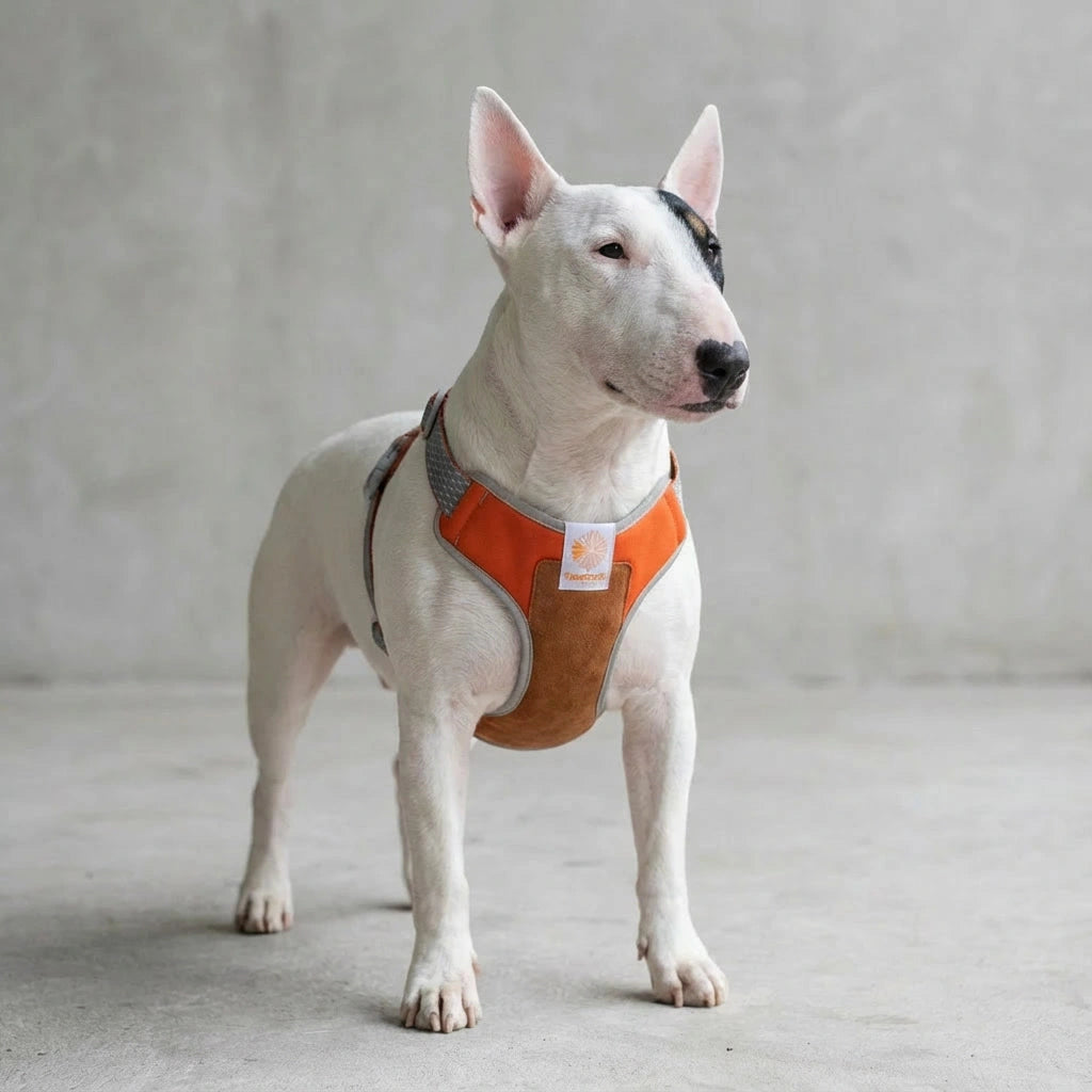 Pechera para perros Suede Reebok x Zee.Dog de ZEEDOG, ajustable, suave
