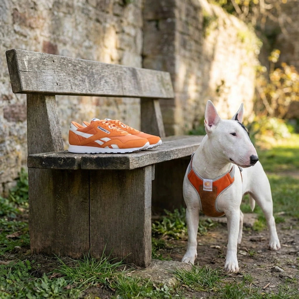 Pechera para perros Suede Reebok x Zee.Dog de ZEEDOG, ajustable, suave