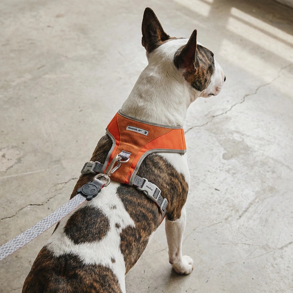 Pechera para perros Suede Reebok x Zee.Dog de ZEEDOG, ajustable, suave
