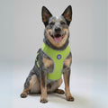 Pechera Airmesh Harness NOX LUMEN para perros de ZEEDOG, verde, morado, acolchado, transpirable