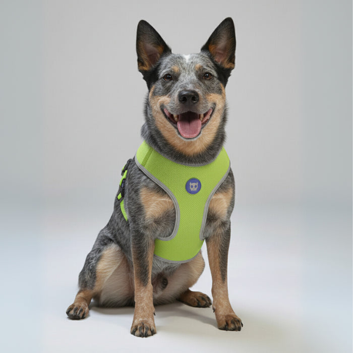 Pechera Airmesh Harness NOX LUMEN para perros de ZEEDOG, verde, morado, acolchado, transpirable