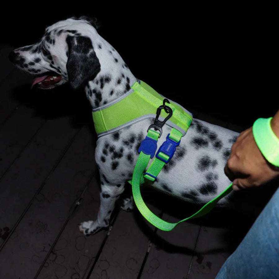 Pechera Airmesh Harness NOX LUMEN para perros de ZEEDOG, verde, morado, acolchado, transpirable