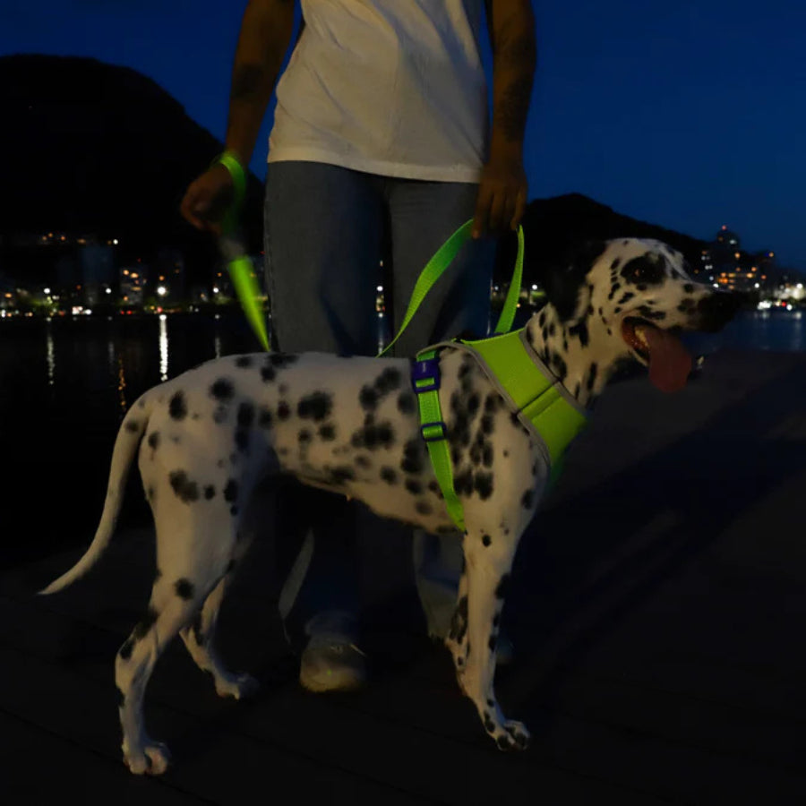 Pechera Airmesh Harness NOX LUMEN para perros de ZEEDOG, verde, morado, acolchado, transpirable