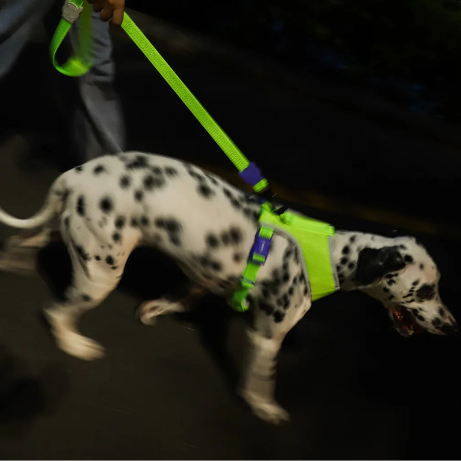 Pechera Airmesh Harness NOX LUMEN para perros de ZEEDOG, verde, morado, acolchado, transpirable