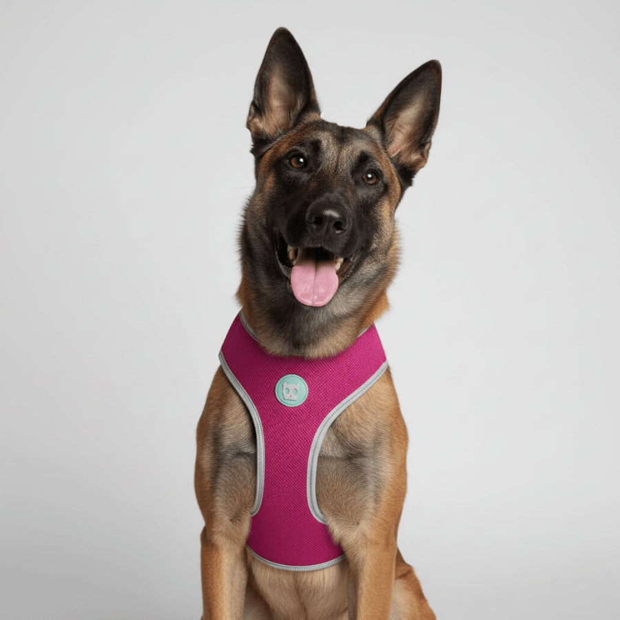 Pechera Airmesh Harness NOX SIDUS para perros de ZEEDOG, naranja, azul, rosa, acolchado, transpirable