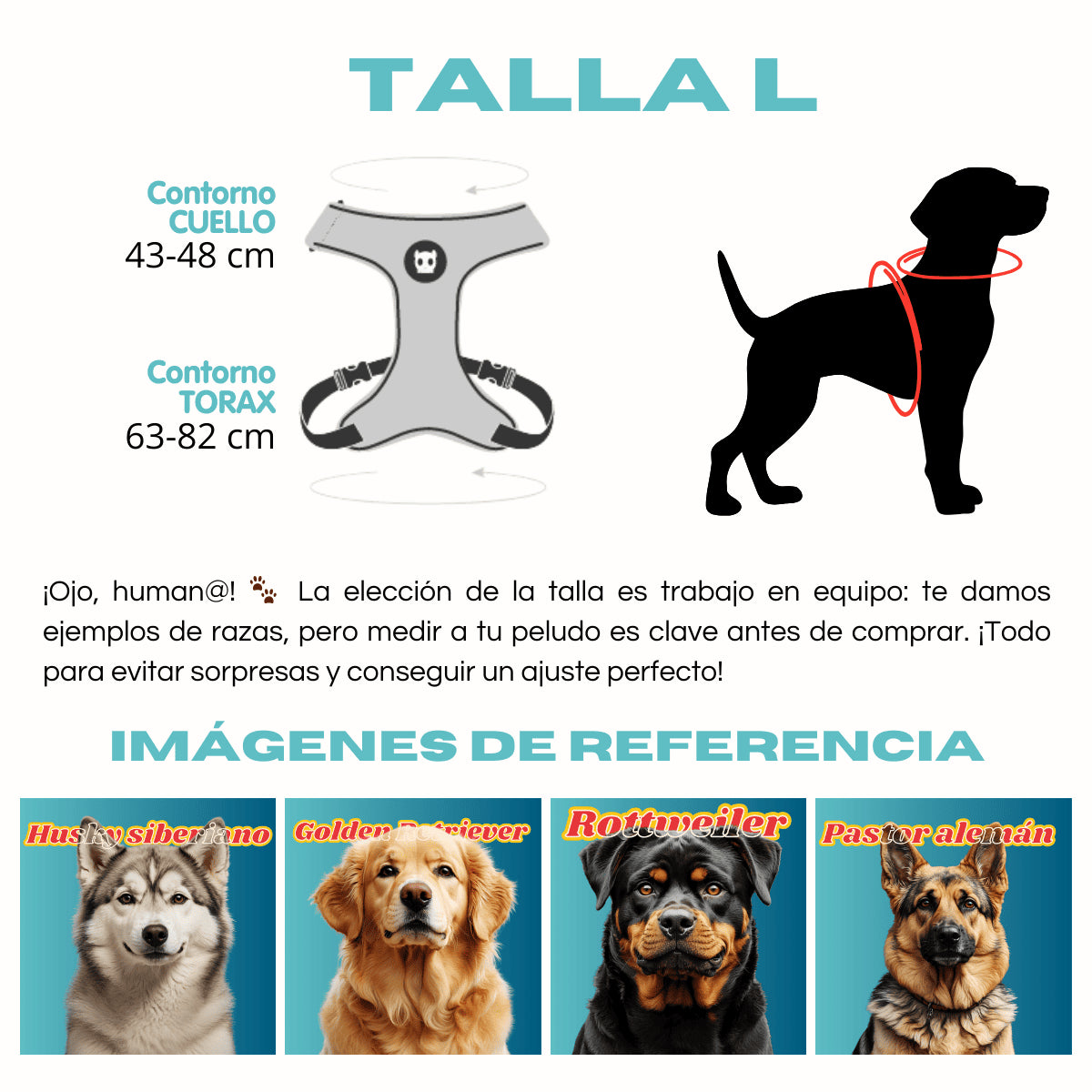 Pechera Airmesh Harness HULK para perros de ZEEDOG, verde, morado, acolchado, transpirable