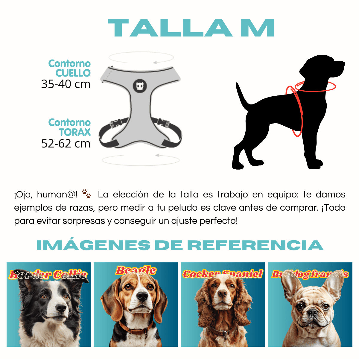 Pechera Airmesh Harness NOX LUMEN para perros de ZEEDOG, verde, morado, acolchado, transpirable