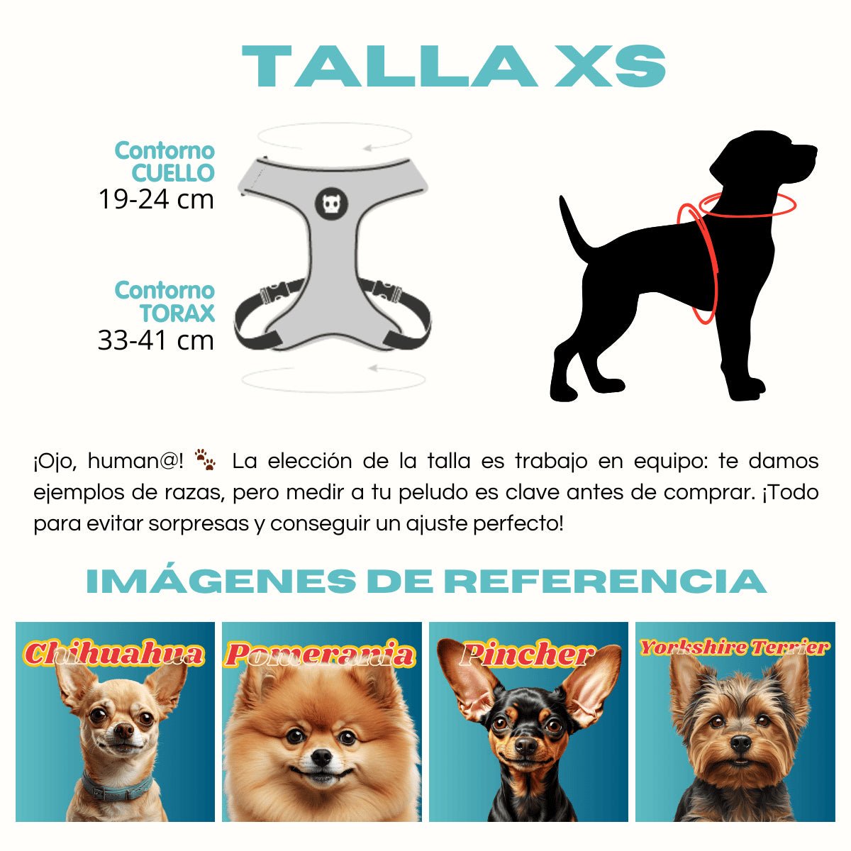Pechera Airmesh Harness NOX LUMEN para perros de ZEEDOG, verde, morado, acolchado, transpirable