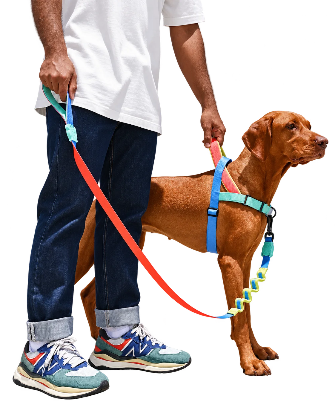 Correas para perro