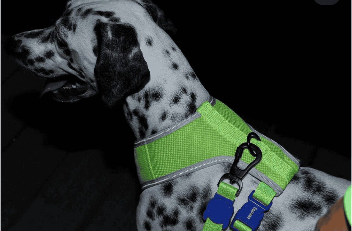 Pecheras Air Mesh para perros