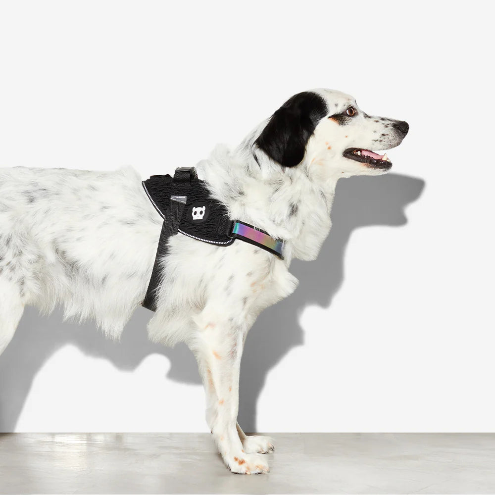 Flyharness Gotham - Arnés para perros de ZEEDOG, arcoíris, negro, reflectante, acolchado, vista principal