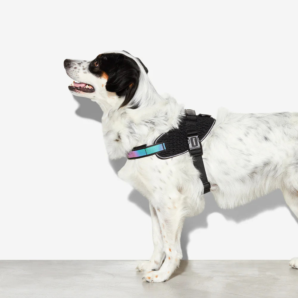 Flyharness Gotham - Arnés para perros de ZEEDOG, arcoíris, negro, reflectante, acolchado, vista principal