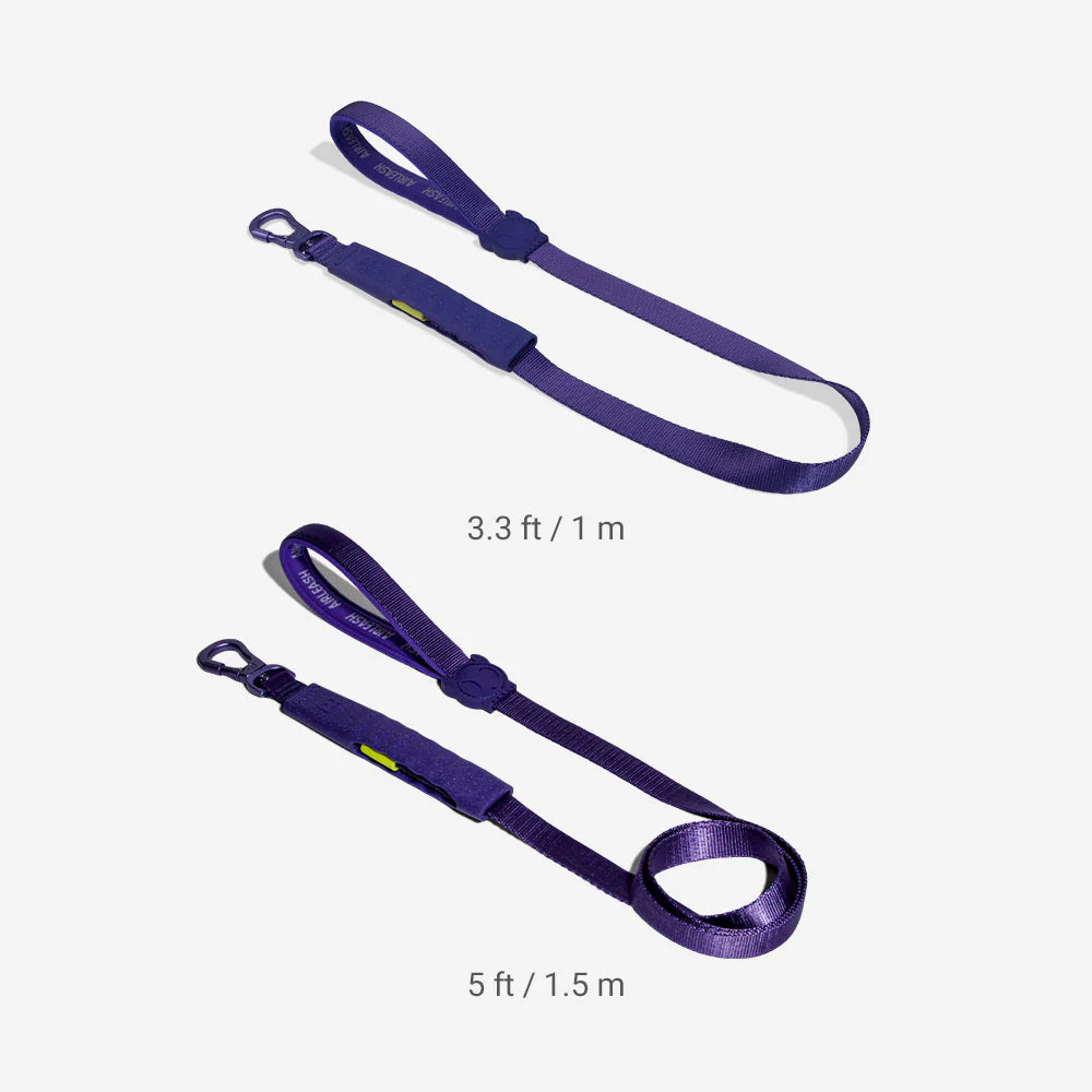 Correa Antitirones Airleash Violet para perros de ZEEDOG, antitirones, suave, vista principal